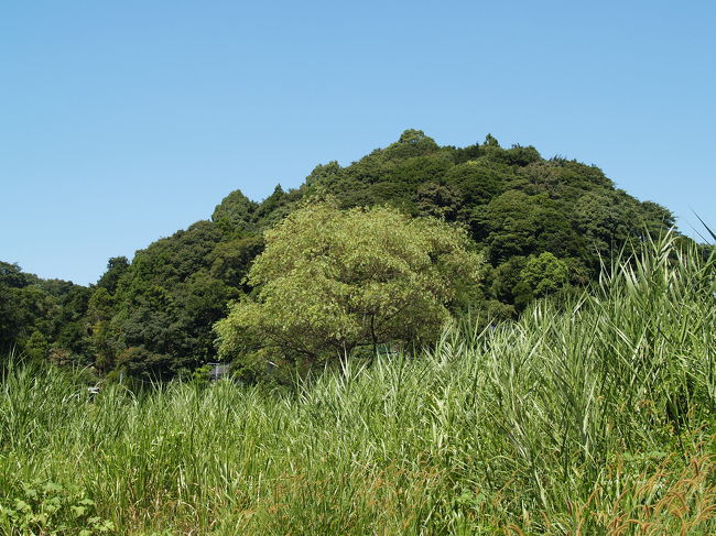 鎌倉永福寺跡