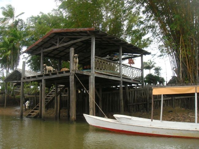 船着き場では、クラウジョウのワンコ達がお出迎え♪<br />