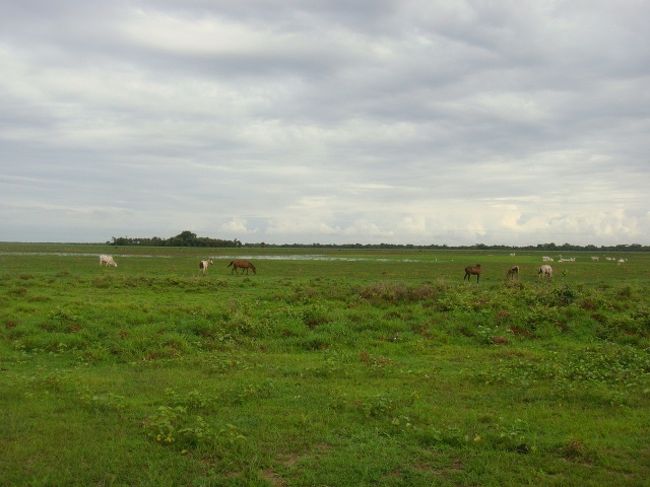 カラマ牧場は、めっちゃデカイ！！