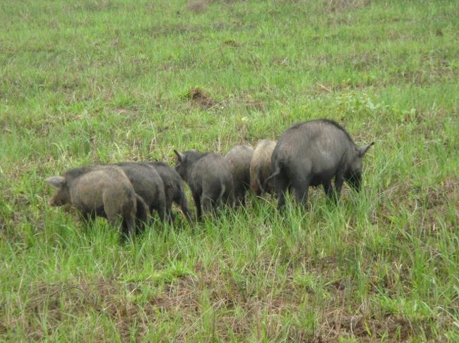 みんなでお尻向けて何やってるのかな？