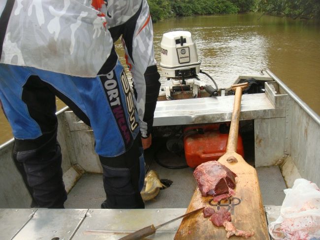 このデカイ肉の塊が魚の餌・・・食べたい（笑）