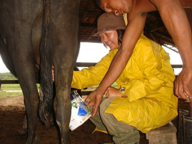 結構難しい・・・。