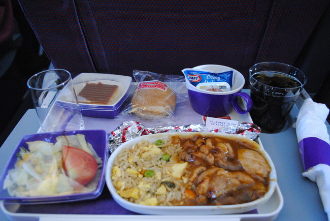 USAを出国し機内へ、今度は普通の席だし、隣はでっかいペルー人。<br />機内食はチキンをチョイス、ワインを飲んで寝る。