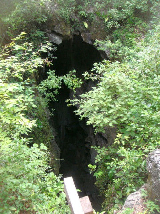 ここからは、みんなが竪穴を下りて行くところが見えたよ。