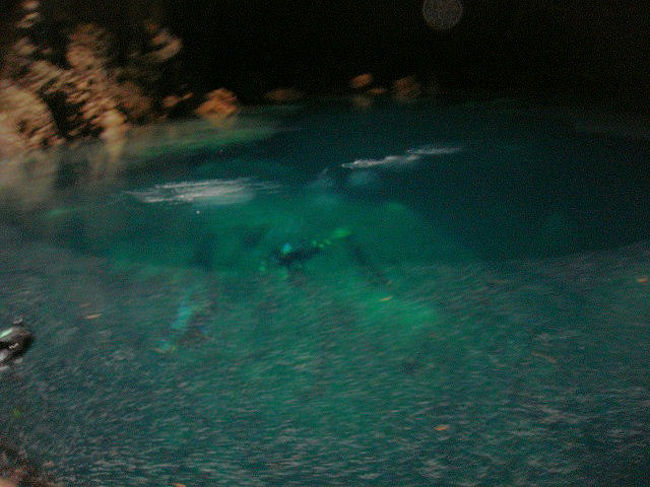 シュノーケリング・ツアーの様子。