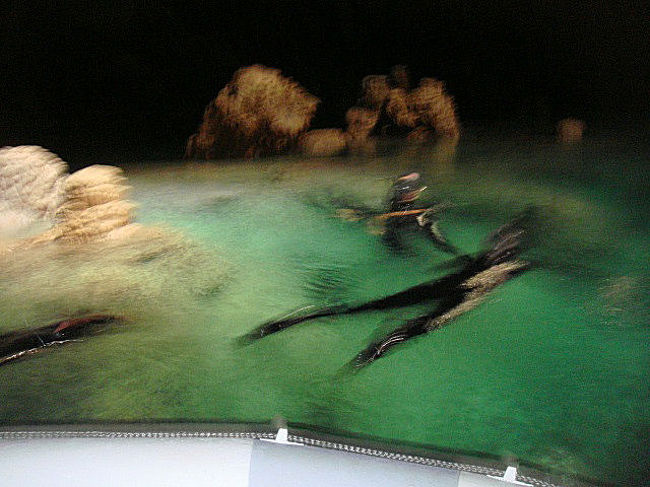 ちょうど外から光が入ってきたから、湖の中もよく見えたかな？！