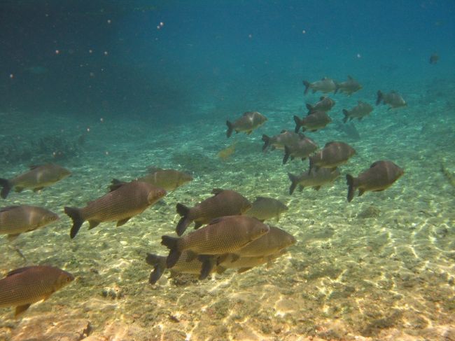 髪の毛爆発状態でなんとか撮った1枚。これは、我ながらよく撮れた♪