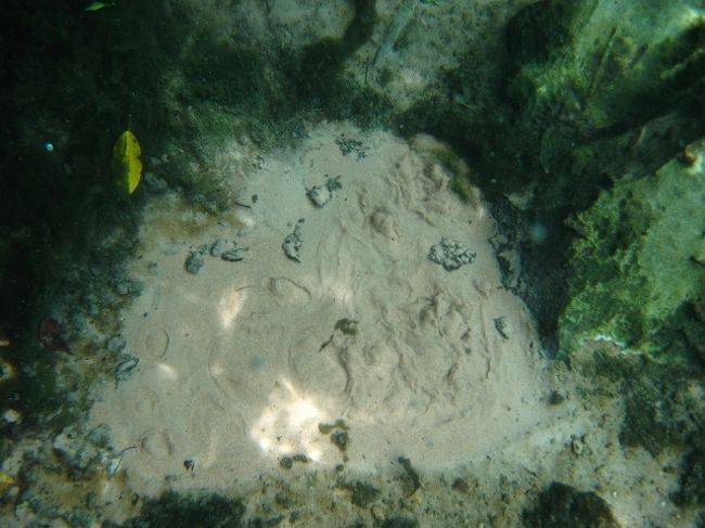 この辺りからカメラ係り交代。