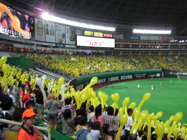 いよいよ試合開始。<br />ロッテ対ソフトバンク<br />結果は…１１−０でロッテの勝利。福岡まで応援しに来た甲斐がありました。