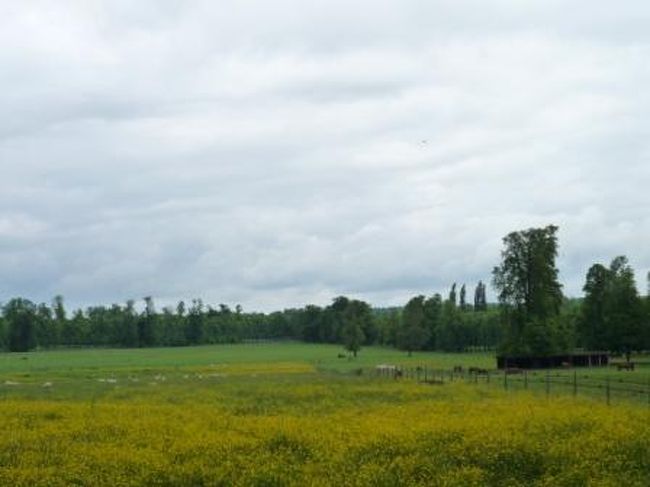 羊だって馬だって飼ってるんだ〜。へぇ〜。