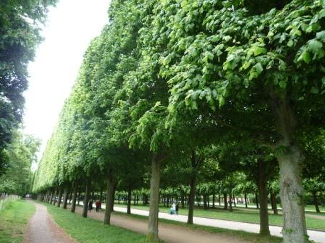 緑が多くって気持ちいいな！