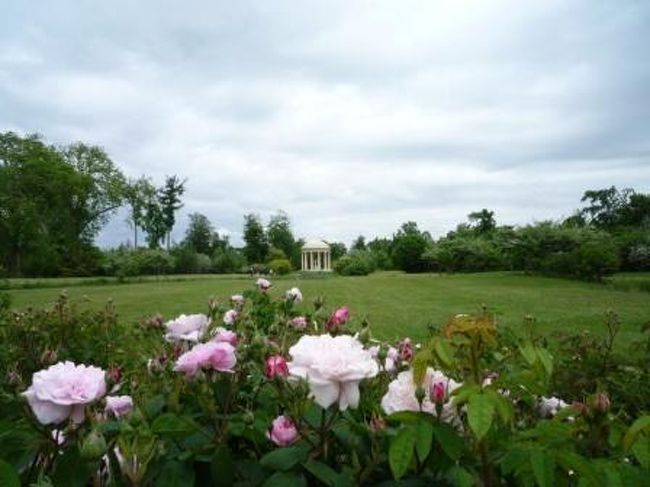 お庭もキレイ！<br />丁度色んな種類のバラが咲いててイイ感じ！