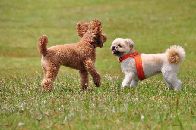 <br />♪何が言いたいの？