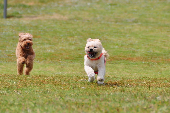 <br />♪やっぱりなぁーー。逃げろ〜(^.^)<br /><br />逃げるが勝ちなのだぁ〜。