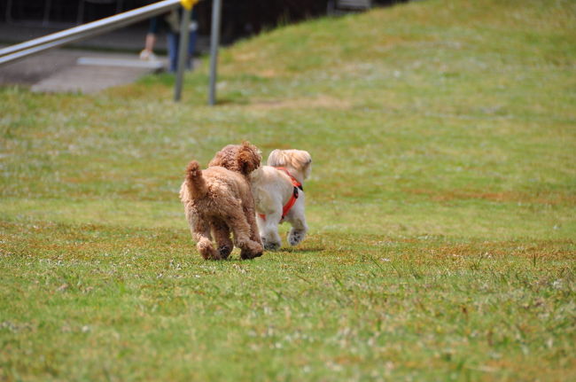 <br />♪追いつかれる〜　全速力パワーＯＮ！