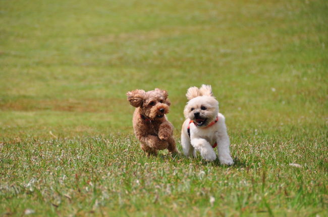 <br />♪競馬じゃないんだから(^_^.)<br /><br />ゴールは何処？