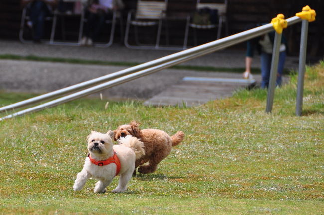 <br />♪シッポ噛むんじゃないわよ。