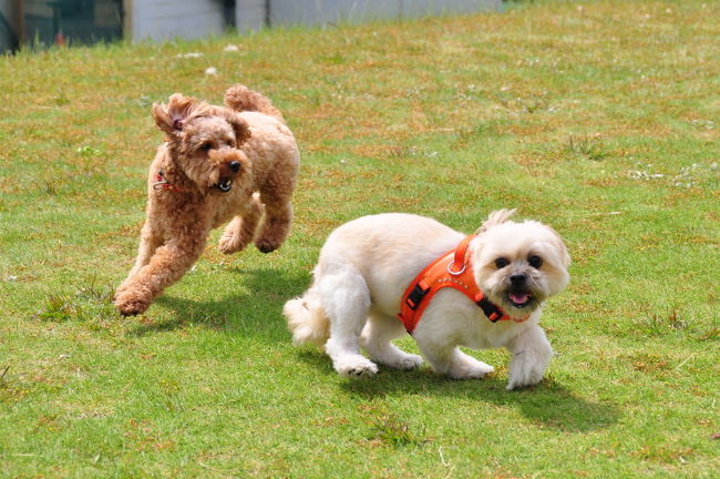 <br />♪負け負け(^_^.)でイイから許して！