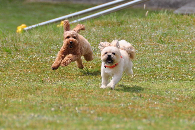 <br />♪ i ちゃん助けてくれ〜(゜o゜)