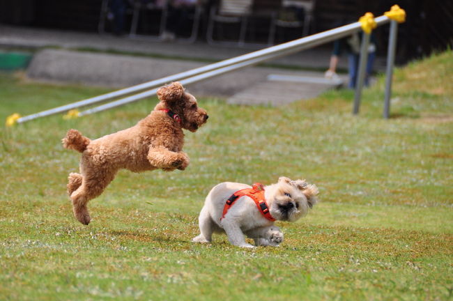 <br />♪　ついに捕まった。空中戦かぁー。<br /><br />上手くかわせるか？？