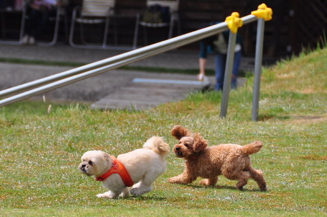 <br />♪よ〜し、上手くいったぞ