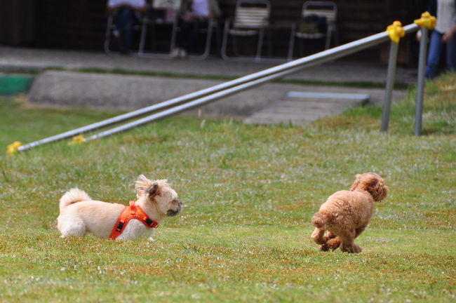<br />♪よ〜し！！今度はコッチが追いかける番よ