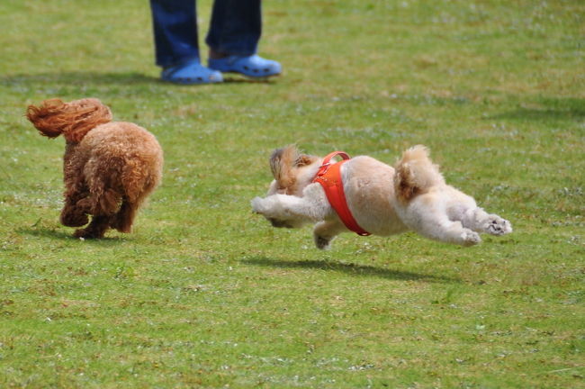 <br />♪飛ぶことも出来るんだぞ〜
