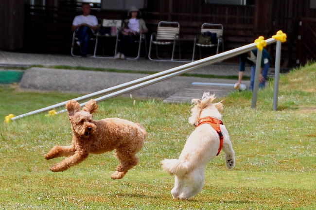 <br />♪おっと！急にコッチ向かれるとビックリ！