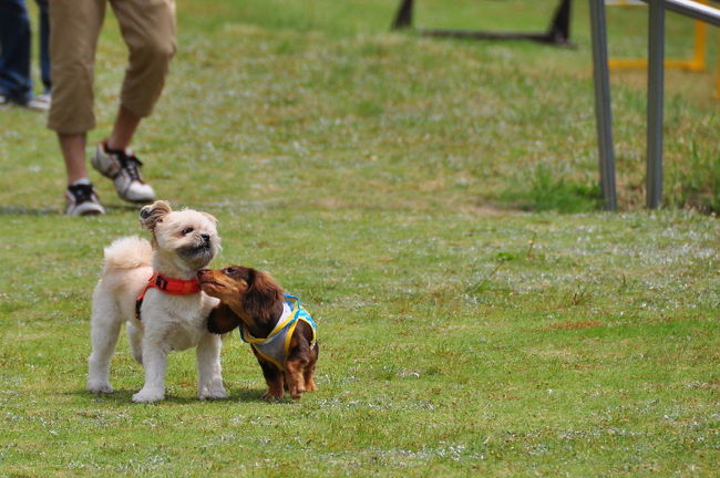 ■恋愛編■<br /><br />♪クンクン男の子に見えるけど女の子だよね？<br /><br />失礼しちゃうわ(-_-)/~~~ピシー!ピシー!