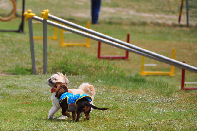 <br />♪チュって、え〜恥ずかしい\(◎o◎)／！