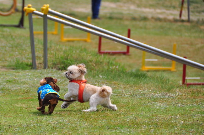 <br />♪あなたは私のタイプじゃないのよ。