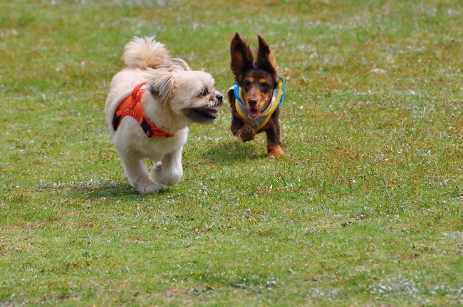 <br />♪追っかけてくる〜誰か助けて！！