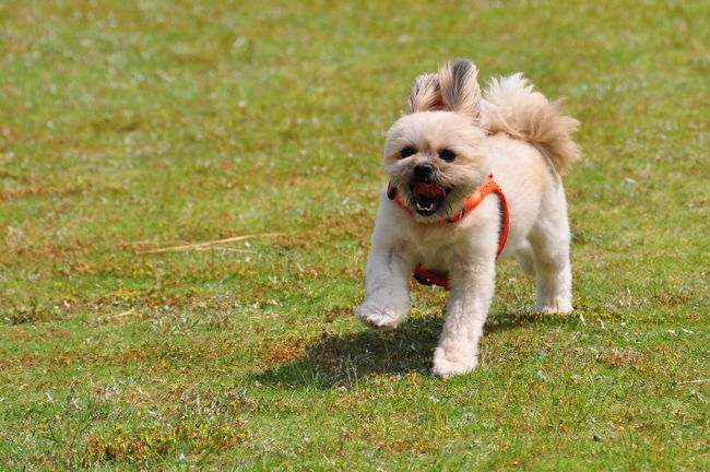 <br />♪やっと逃げ切った〜