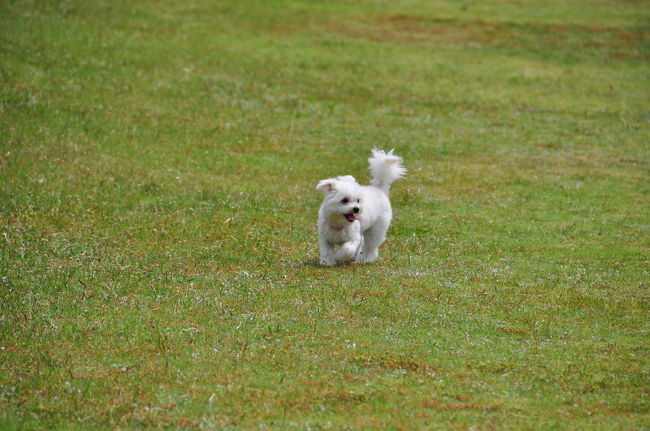 <br />♪一人っきりは怖いよ〜