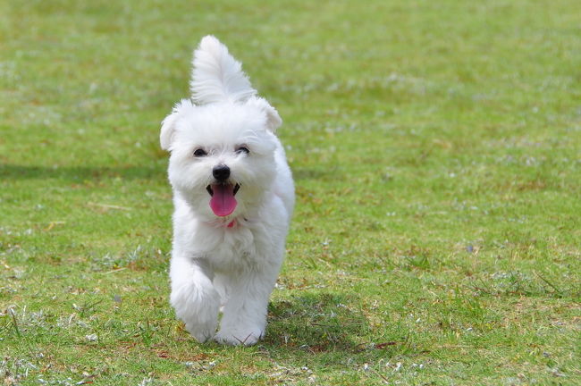 <br />♪蒸し暑いなぁーー