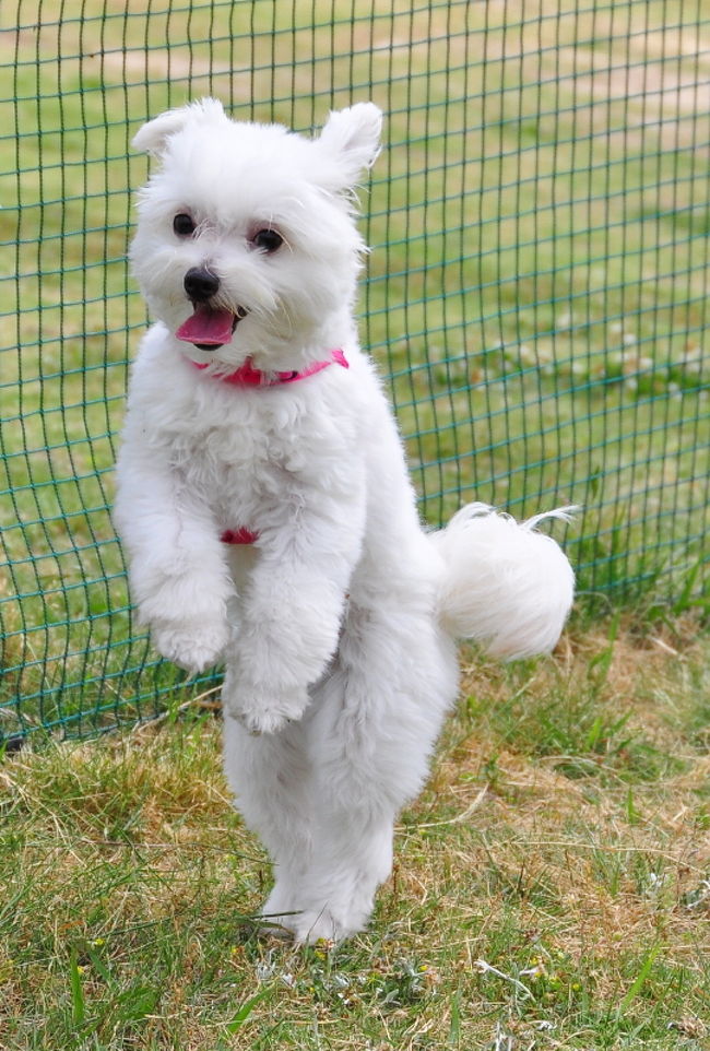 <br />♪私は背が低いから、たまに立って遠くを見るの