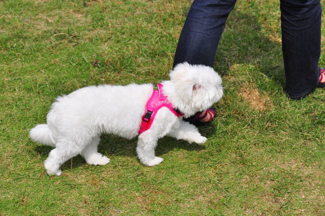 <br />♪ゆっくり歩いてね♡♡