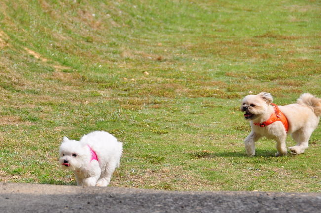 <br />♪さぁ水でも飲も〜っと！！