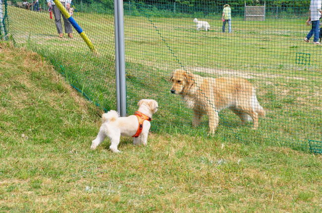 <br />♪ネットがあるから、あなた大きいけど<br /><br />怖くなんかないわよ(^_^)v