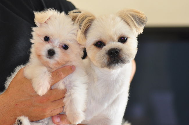 <br />♪訪問ありがとう。<br /><br /> i ちゃん初めてだったけど楽しかったみたい。<br /><br />私も走り疲れて帰りのクルマの中でグッスリ３人で寝てしまったわ。また遊びに行きたいです。