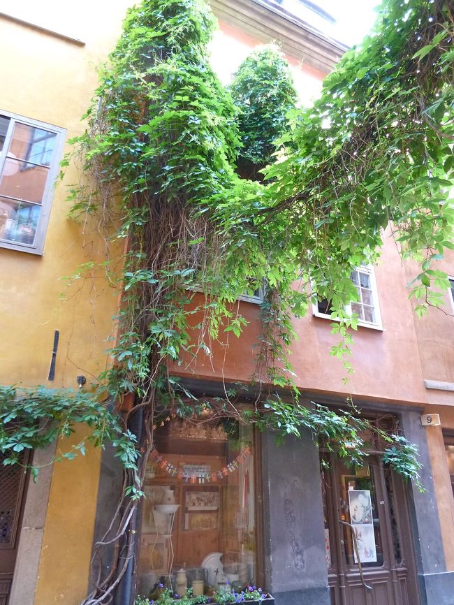 　この風景には驚かされました。ここはちょっとした三角広場になっていて、狭くて細い道路に囲まれているのですが、ちょっと休むのには丁度良いスペースです。