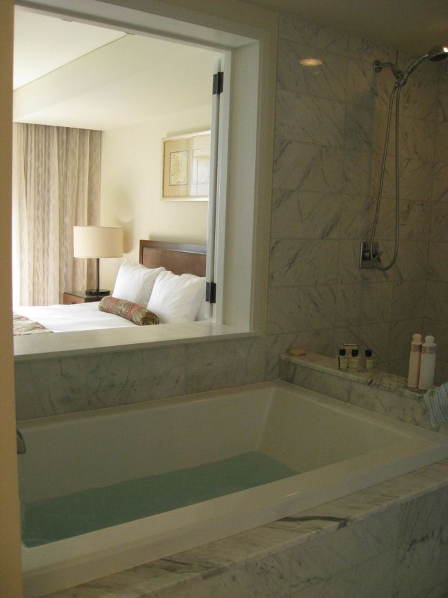 バスルームから外の景色を楽しむことが出来ます。