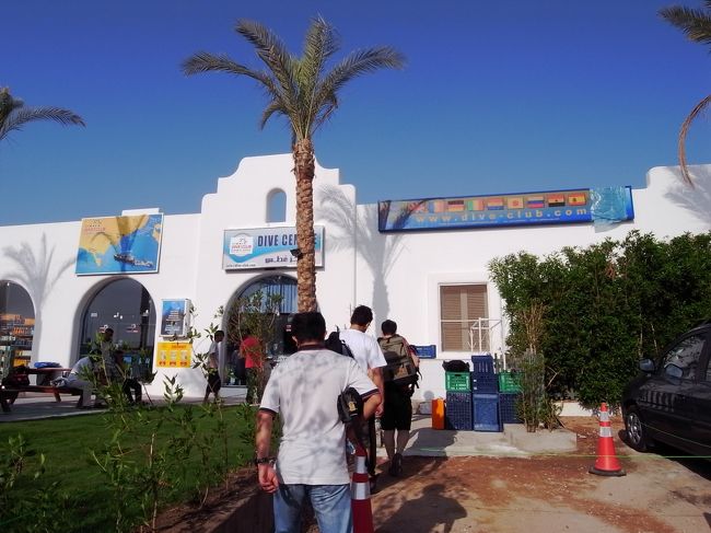 シャルムに着いたら、「サイナイダイブクラブ」に直行。<br />なんか、これからダイビングするのが不思議な気分のまま、荷解きして準備して早々に港に向かいます。<br /><br />