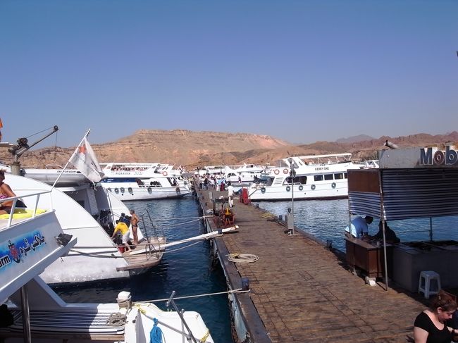 大量の船が桟橋付近に泊まってます。<br /><br />船に乗り込んだのに、ちっとも出航しないからなんでかと思ってたら、客だけバスに乗っけて、私たちの器材全員分積み忘れてたらしく、器材待ちすること３０分。<br /><br />エジプト時間はかなり正確で、ピックアップとかほとんどオンタイムなんですけど、なにかしらツメが甘いって感じ。