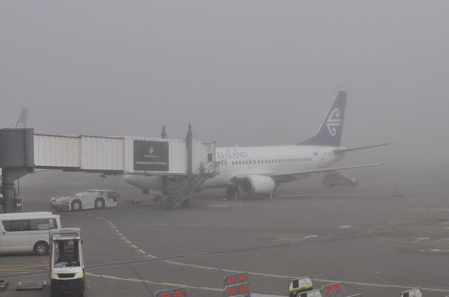 　空港はあいにく霧の中です。<br />　いくつかの航空機は飛んでいるようですが、モニターにはキャンセルの掲示がずらり。<br />　私たちがのる予定の便は最初はDelayでしたが、そのうちCancelに、結局午後の便に振り替えになりました。