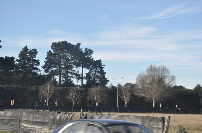 　防風林でしょうか。