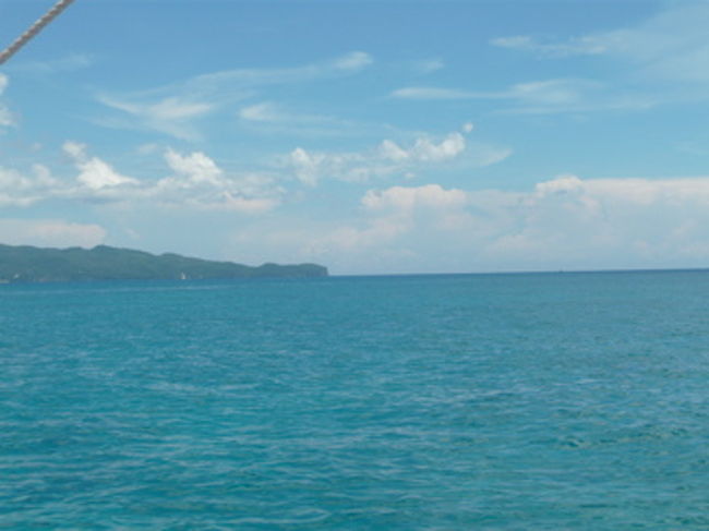 上から見るとこんなでした