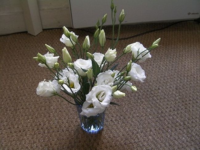 私はお花を購入。<br />部屋に飾ります。