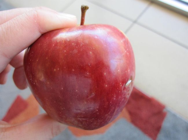 お昼から飛行機の時間までしばらくの間フリータイムです。<br /><br />ホテルのロビーにリンゴが置いてあるので食べました。<br />小さくて、1個食べるのにちょうどいい大きさです。<br /><br />海外であまり、こういったフルーツは口にしないのですが、このリンゴは日本のに負けないくらいおいしくて、滞在中、スーパーでリンゴを買っては丸かじりしていました。