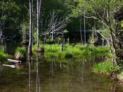明神池のはずれ。
水がとてもきれいです。